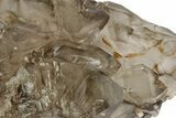 Lustrous Smoky Elestial Quartz - Brazil #238112-1